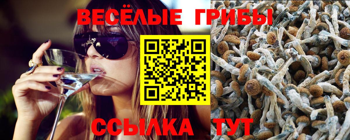 Псилоцибиновые грибы мухоморы Воркута
